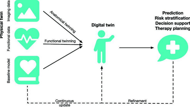 Loewe 2025 Fig. 3 Newsletter