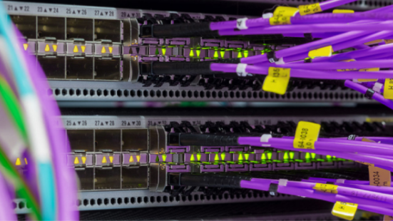 Lilafarbene Datenkabel, die in Steckbuchsen eines Servers hängen.